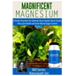 Magnificent Magnesium: A Perfect Nutrient for Optimal Heart Health, Brain Health, Muscular Health and Even Blood Sugar Control - Paperback