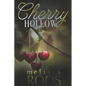Cherry Hollow: A second chance at a high school crush - mystery romance - Paperback
