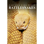 Rattle Snakes - Curious Kids Press: Kids book about animals and wildlife, Children's books 4-6 - Paperback