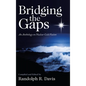 Bridging the Gaps: An Anthology on Nuclear Cold Fusion - Hardcover