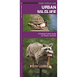 Urban Wildlife: A Folding Pocket Guide to Familiar Animals