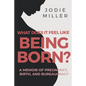 What Does It Feel Like Being Born?: A memoir of pregnancy, birth and bureaucracy - Paperback