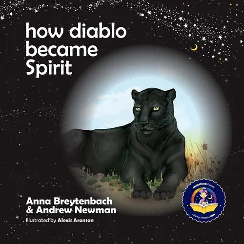 How Diablo Became Spirit: How to connect with animals and respect all beings - Paperback