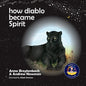 How Diablo Became Spirit: How to connect with animals and respect all beings - Paperback