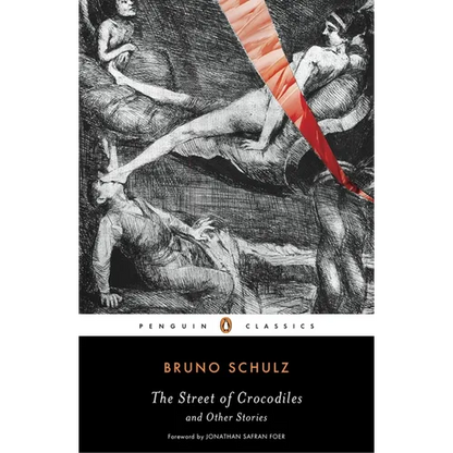 The Street of Crocodiles and Other Stories - Paperback