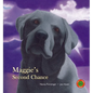 Maggie's Second Chance - Hardcover