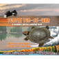 Turtle Tug-Of-War: A Boundary Waters Counting Book - Hardcover