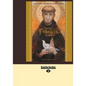 Saint Francis of Assisi: Devotions, Prayers & Living Wisdom (Large Print 16pt) - Paperback