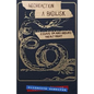 Neoreaction a Basilisk: Essays on and Around the Alt-Right - Paperback