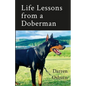 Life Lessons of a Doberman - Paperback