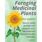 Foraging Medicinal Plants of New England: How to safely identify and prepare over 100 medicinal plants for herbal remedies - Hardcover