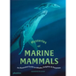 Mysteries of Marine Mammals: An Illustrated Guide to Whales, Dolphins, and Porpoises - Hardcover