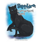 Sapphire: A Life That Almost Wasn't - Paperback