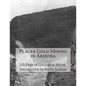 Placer Gold Mining in Arizona - Paperback