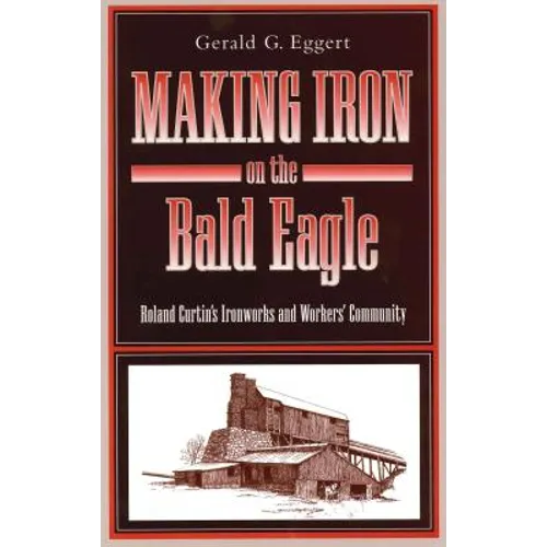Making Iron on the Bald Eagle: Roland Curtin's Ironworks and Workers' Community - Paperback
