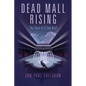 Dead Mall Rising: The Story of El Con Mall - Paperback