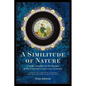 A Similitude of Nature: Giorgio Anselmi on the Images of the Eighth Celestial Sphere - Paperback