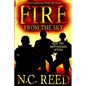 Fire From the Sky: Brotherhood of Fire - Paperback