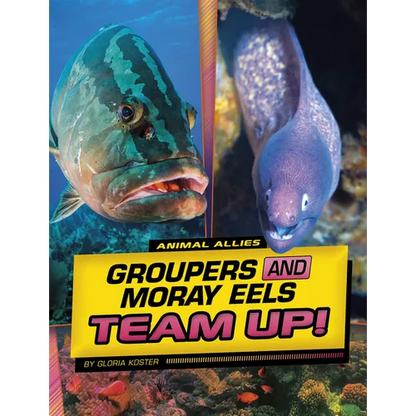 Groupers and Moray Eels Team Up! - Hardcover
