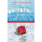 Rose in Snow: A tale of romance, struggle, and hope in 19th-century Massachusetts - Paperback