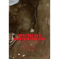 There Are Real Giants In The Land.: Biblical Stories Are Really True! - Paperback