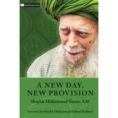 A New Day, New Provision - Paperback