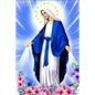La Historia Jamas Contada de la Virgen Maria - Paperback