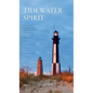 Tidewater Spirit: Cultural Landmarks, Monuments & History of Eastern Virginia - Hardcover