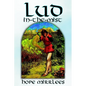 Lud-in-the-Mist by Hope Mirrlees, Fiction, Epic Poetry, Classics - Hardcover