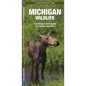 Michigan Wildlife: A Folding Pocket Guide to Familiar Animals - Paperback