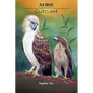 Aerie: Outcast - Paperback