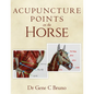 Acupuncture Points on the Horse - Paperback