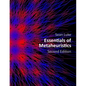 Essentials of Metaheuristics (Second Edition) - Paperback