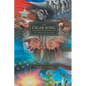 The Cigar Song: A Story of Passion - Paperback