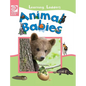 Animal Babies - Hardcover