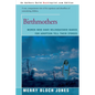 Birthmothers: Women Who Have Relinquished Babies for Adoption Tell Their Stories - Paperback