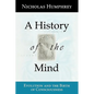 A History of the Mind: Evolution and the Birth of Consciousness - Paperback