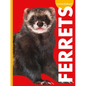 Curious about Ferrets - Library Binding