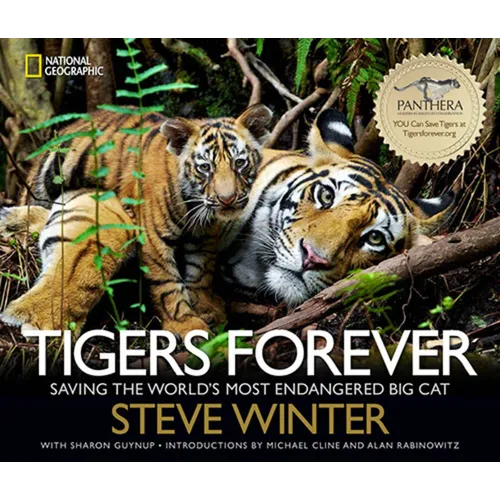 Tigers Forever: Saving the World's Most Endangered Big Cat - Hardcover