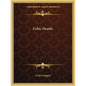Celtic Druids - Paperback