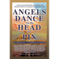 Angels Dance on the Head of a Pin - Paperback
