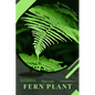 Fern Plant: Plant Guide - Paperback