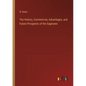 The History, Commercial, Advantages, and Future Prospects of the Saginaws - Paperback