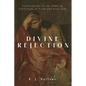 Divine Rejection: Explorations in the Biblical Portrayals of Esau and King Saul - Hardcover