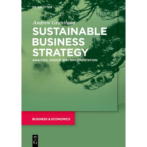 Sustainable Business Strategy: Analysis, Choice and Implementation - Paperback