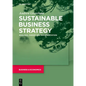 Sustainable Business Strategy: Analysis, Choice and Implementation - Paperback