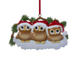 Owl Family of 3 Ornament For Personalization