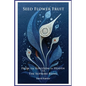 Seed, Flower, Fruit: From the Kingdom of Heaven to the Supreme Being: Urantia Book Insights - Paperback