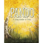 Pando: A Living Wonder of Trees - Hardcover
