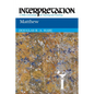 Matthew - Paperback
